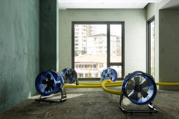  Zilwaukee, MI Water damage restoration Pros